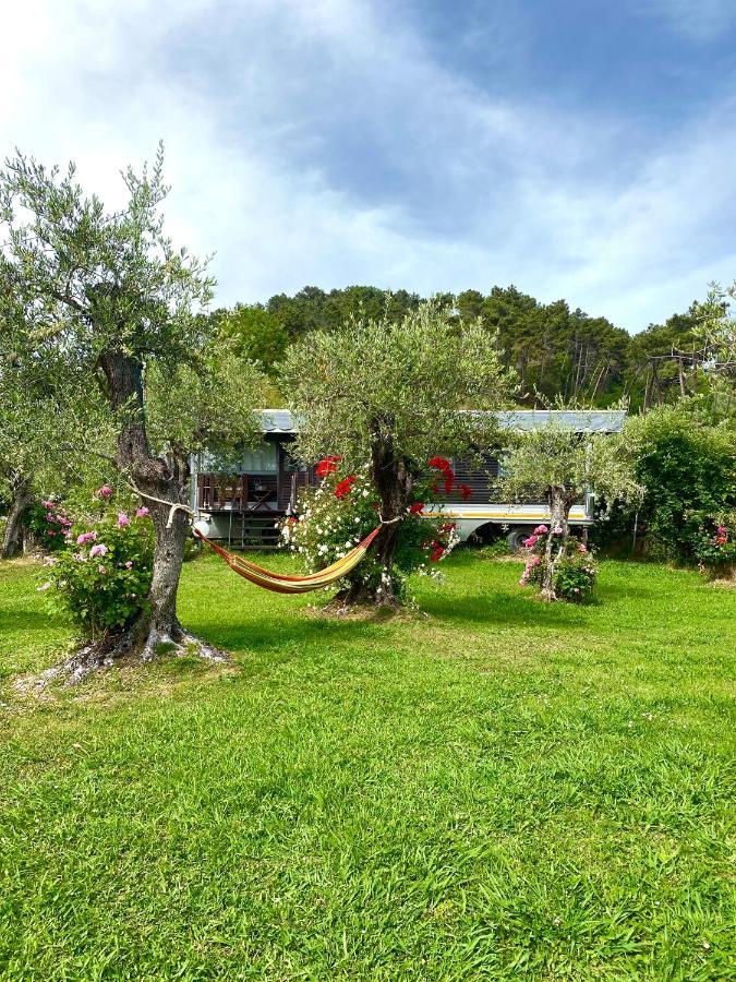 Azienda Agricola Della Mezzaluna Stiava Buitenkant foto