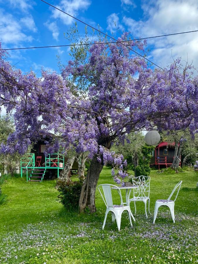 Azienda Agricola Della Mezzaluna Stiava Buitenkant foto