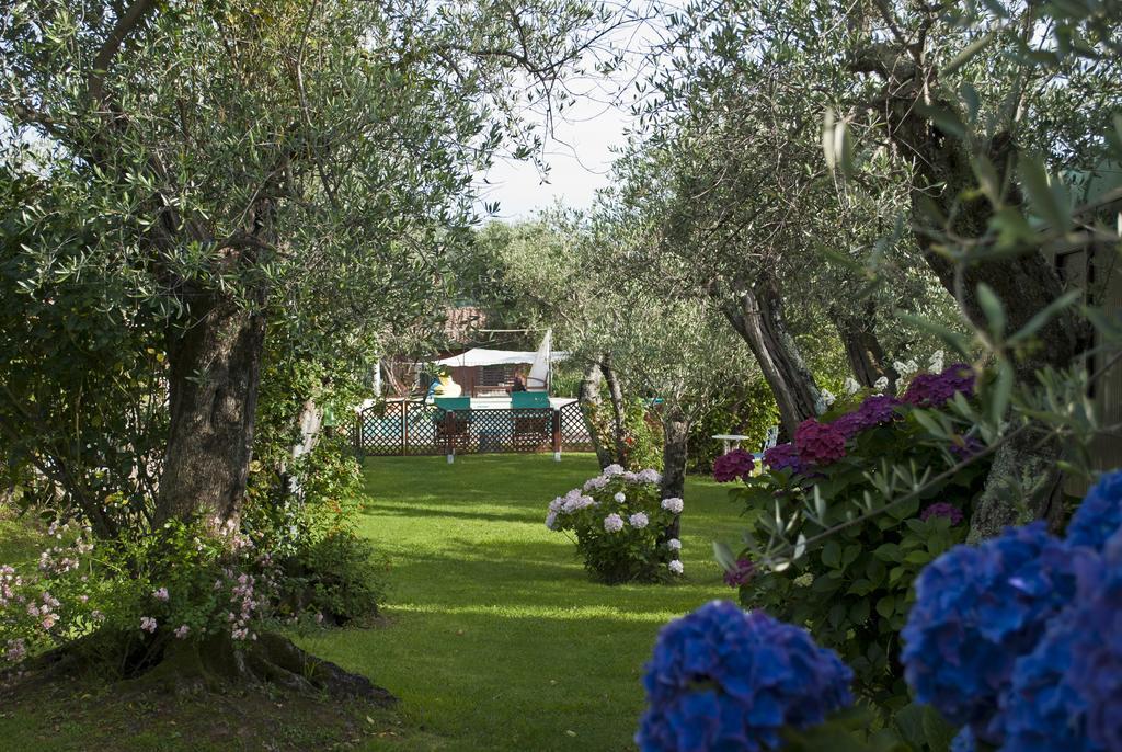 Azienda Agricola Della Mezzaluna Stiava Buitenkant foto