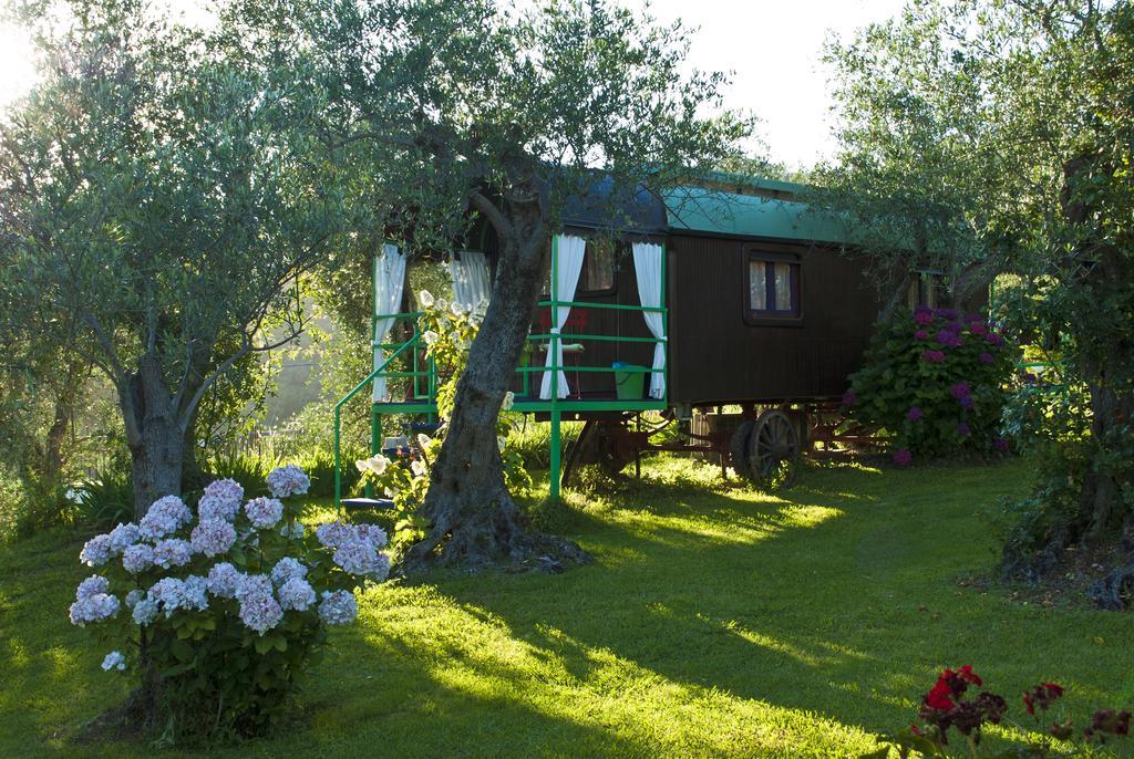 Azienda Agricola Della Mezzaluna Stiava Buitenkant foto