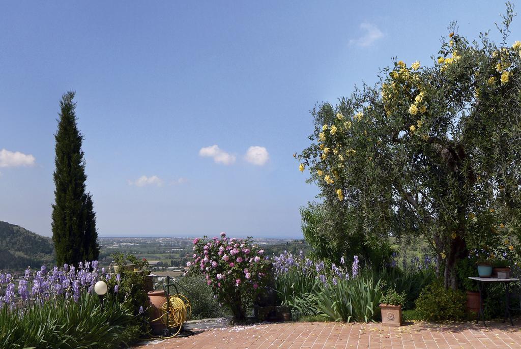 Azienda Agricola Della Mezzaluna Stiava Buitenkant foto